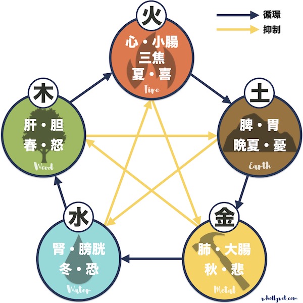 うちのこは何タイプ?性格から体質をズバリ診断 | Wholly Vet