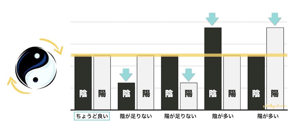 うちのこは陰？それとも陽？ 漢方の考え方を健康管理に取り入れる | Wholly Vet