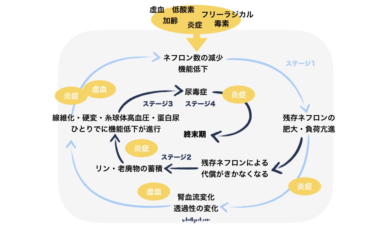 炎症を抑える Wholly Vet