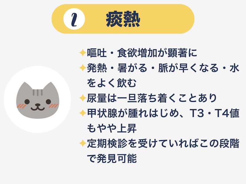 猫の甲状腺機能亢進症  Wholly Vet